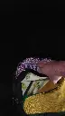 IMG_20240110_170352.webp