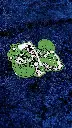 IMG_20231006_101834.webp