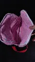 IMG_20240110_164315.webp