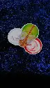 IMG_20231006_101924.webp